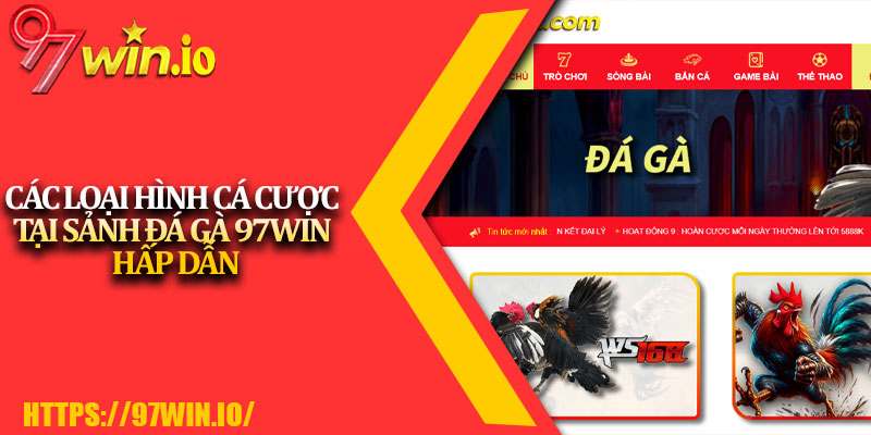 Đá Gà 97Win 2 Các Loại Hình Cá Cược Tại Sảnh Đá Gà 97Win Hấp Dẫn