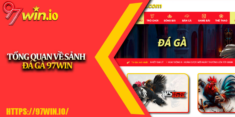 Đá Gà 97Win 1 Tổng Quan Về Sảnh Đá Gà 97Win