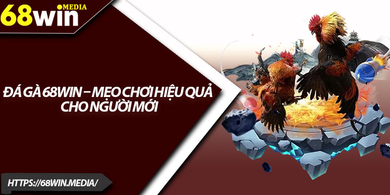 Đá Gà 68win – Mẹo Chơi Hiệu Quả Cho Người Mới 1 Da Ga 68win – Meo Choi Hieu Qua Cho Nguoi Moi