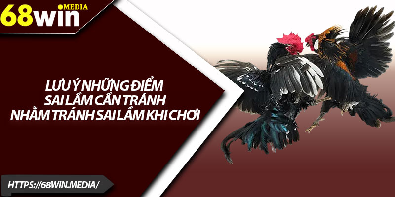Đá Gà 68win – Mẹo Chơi Hiệu Quả Cho Người Mới 4 Lưu ý những điểm sai lầm cần tránh nhằm tránh sai lầm khi chơi